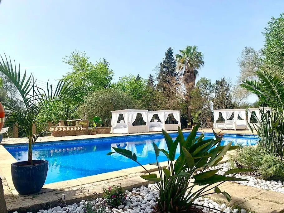 Llorenc 1, Entspannung Pur,Stilvoll,Ruhig,Xxl Pool Manacor  0*, Manacor (Mallorca)